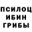 Галлюциногенные грибы мицелий Chris Warnes