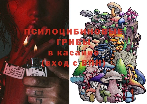сатива Абдулино
