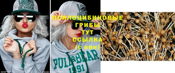 герыч Пересвет