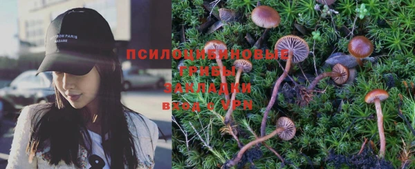 герыч Пересвет