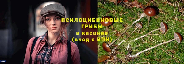 мескалин Переславль-Залесский